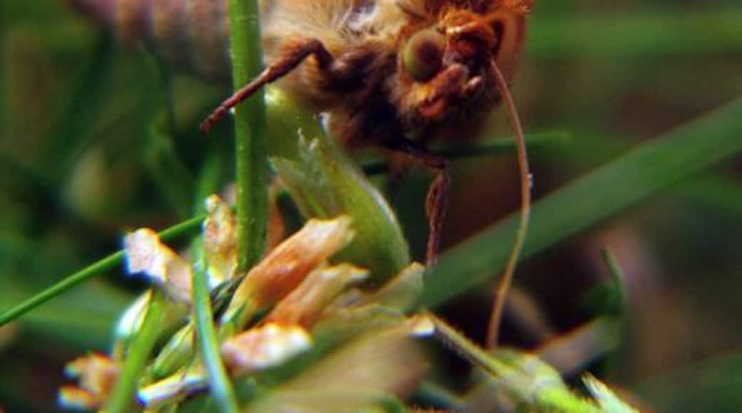 A tiny glimpse into the creepy world beneath our feet. We should probably be lucky Disney's 1989 box office hit "Honey, I Shrunk the Kids" is just a movie... @Aland islands, Finland. #LifeAtExpedia