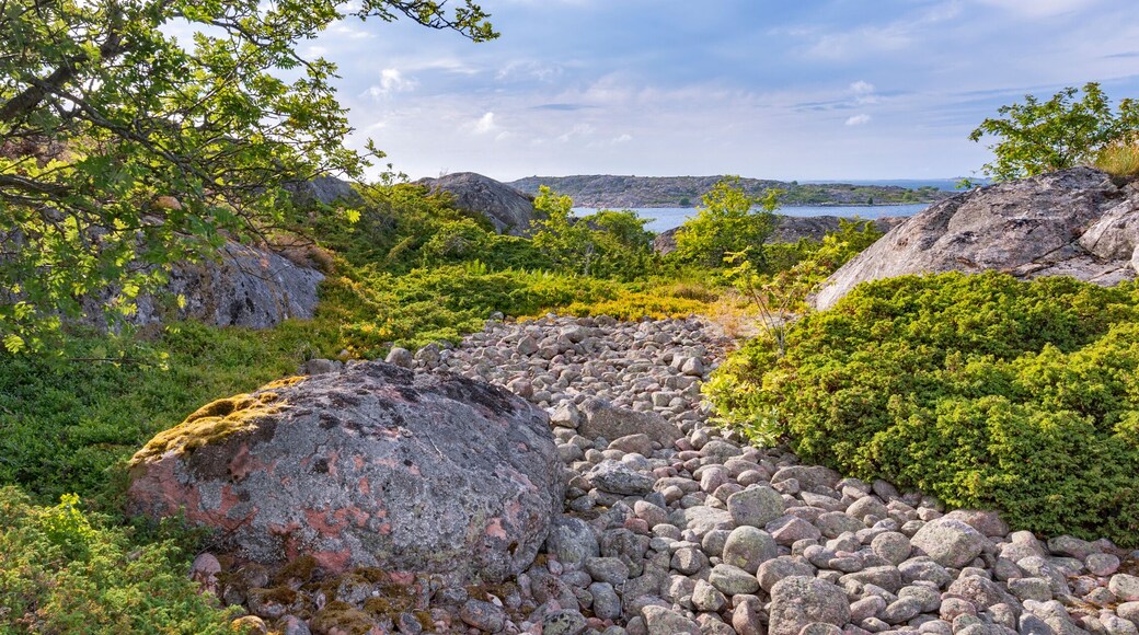 Rocky seashore. Summer landscape of a rocky island in the Baltic Sea, Finland.