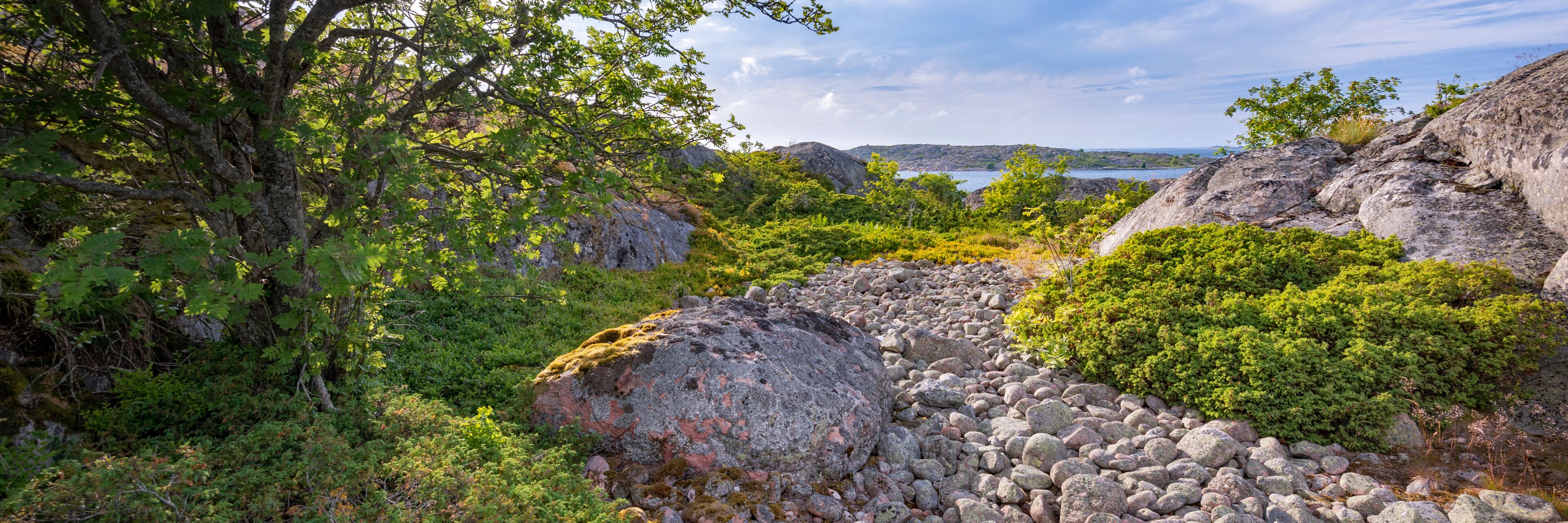 A rocky landscape with dense greenery and a body of water in the distance.