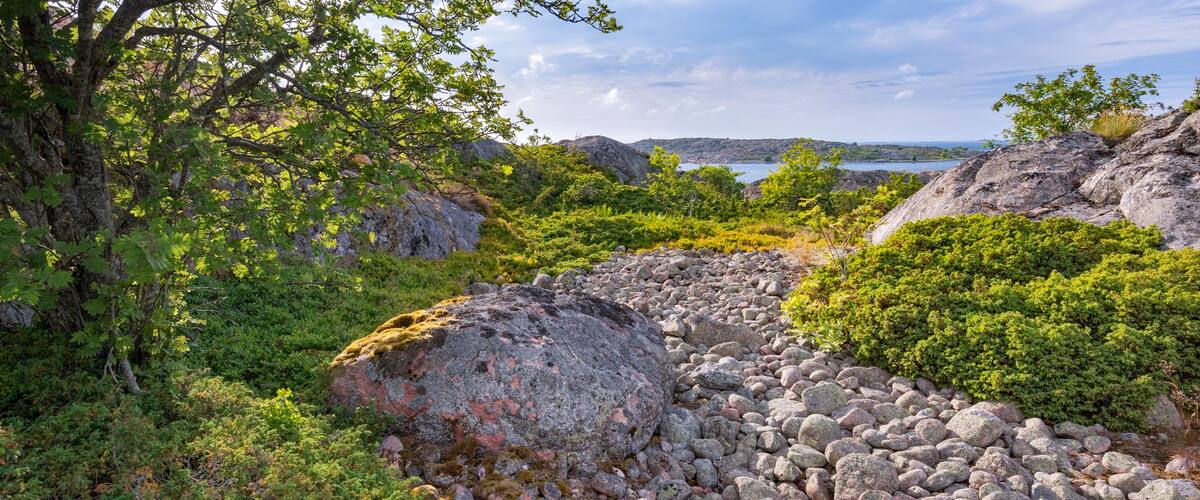 A rocky landscape with dense greenery and a body of water in the distance.
