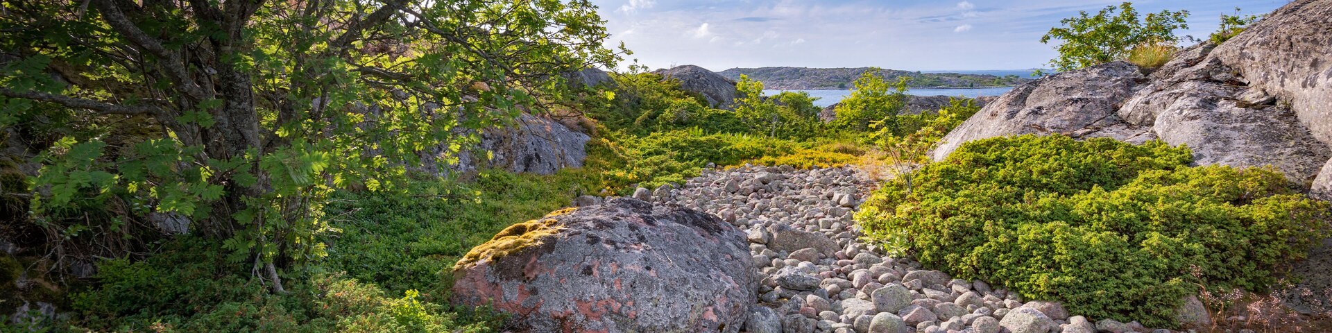 A rocky landscape with dense greenery and a body of water in the distance.