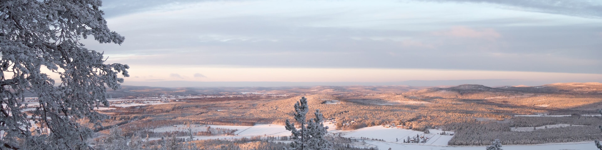 Snowy landscape view