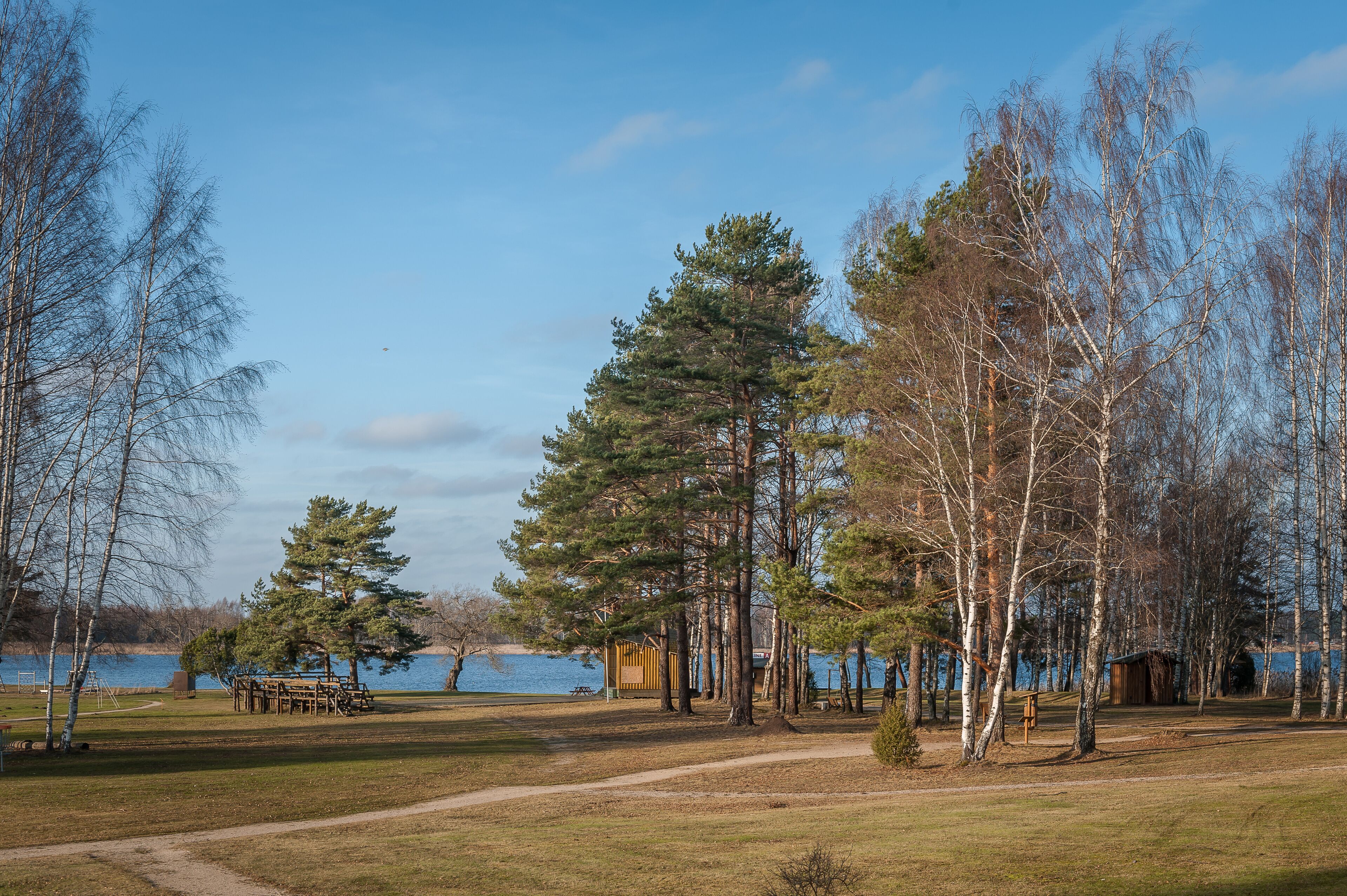 A lakeside park with a wooden bench, a picnic table, and a small cabin.