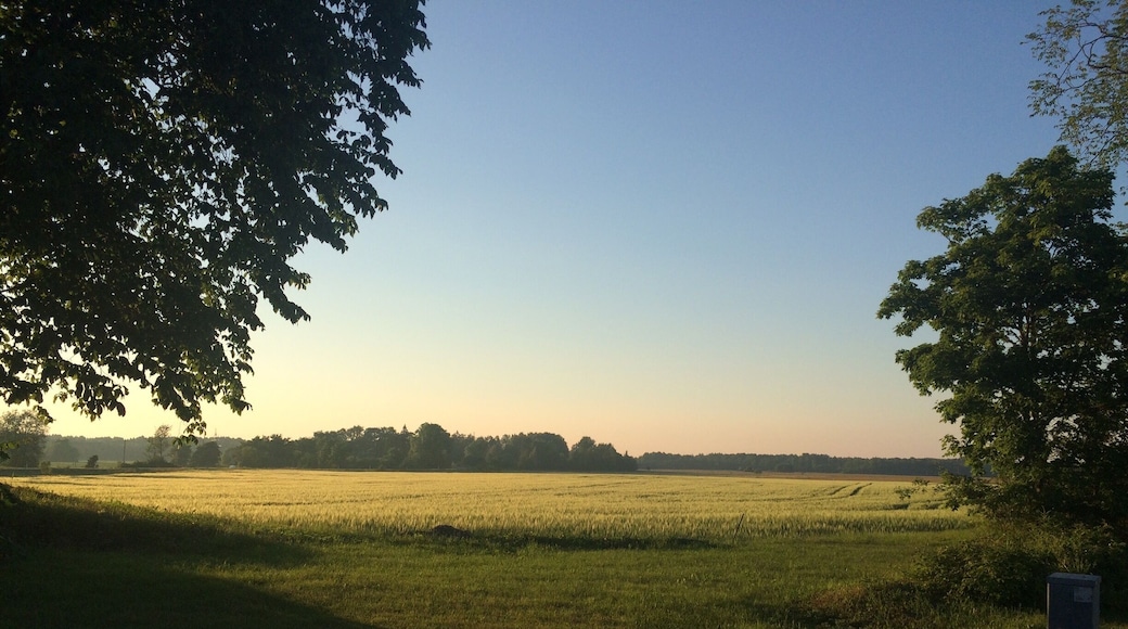 Early morning in Saaremaa island, Latvija