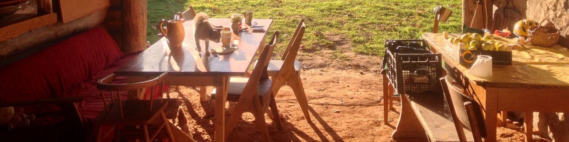 Home for the next few days. Beautiful countryside Estonia.