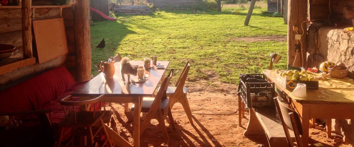 A rustic wooden cabin with a dining table and chairs, a red sofa, and a view of a grassy yard with a wooden fence and trees.