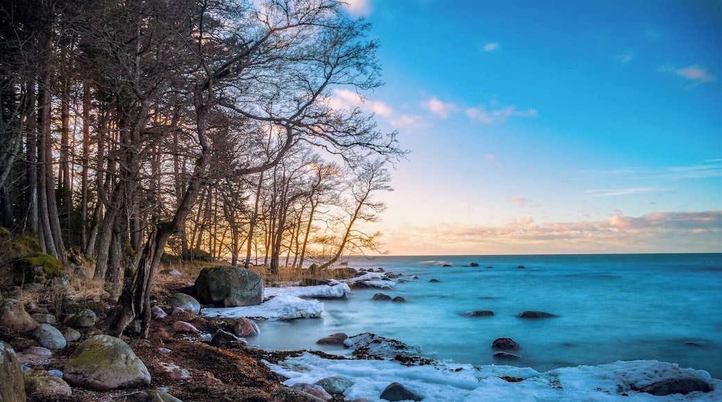 A cool rocky beach near Käsmu.
#BVStrove #estonia #käsmu #harjumaa #beach #sea