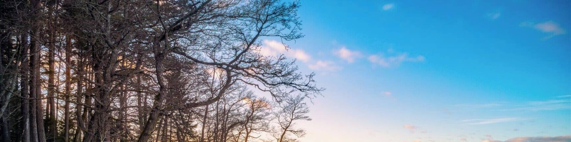 A cool rocky beach near Käsmu.
#BVStrove #estonia #käsmu #harjumaa #beach #sea