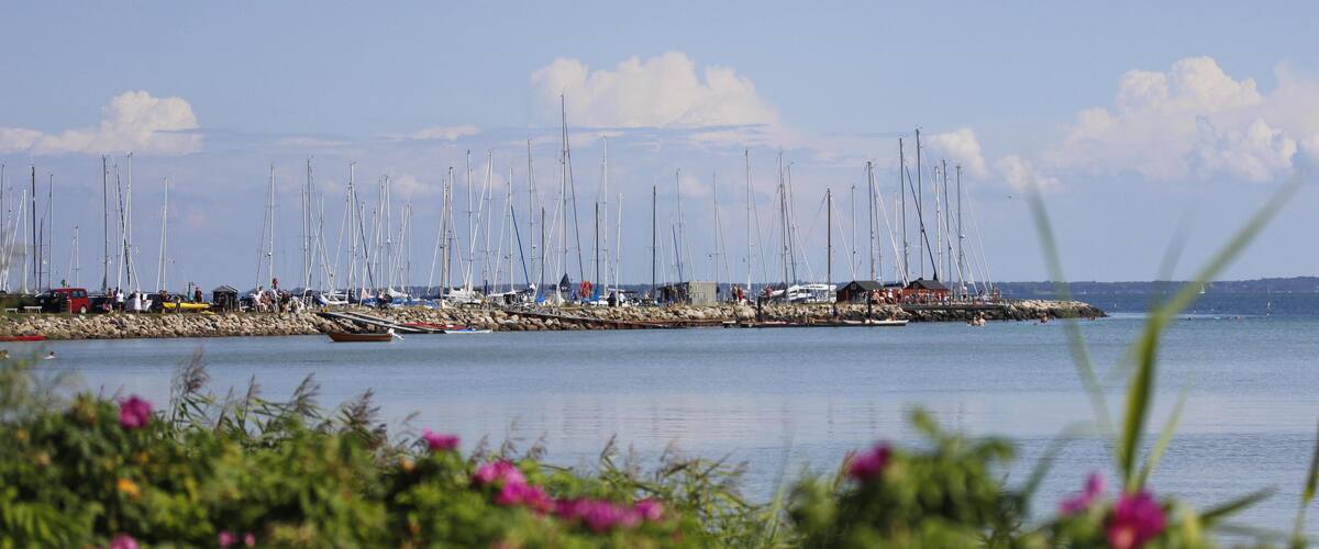 A marina with numerous sailboats docked along a rocky shoreline.