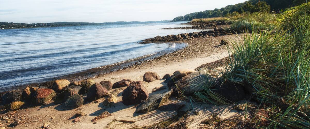 A coastal landscape with a sandy beach, large rocks, and a calm body of water.