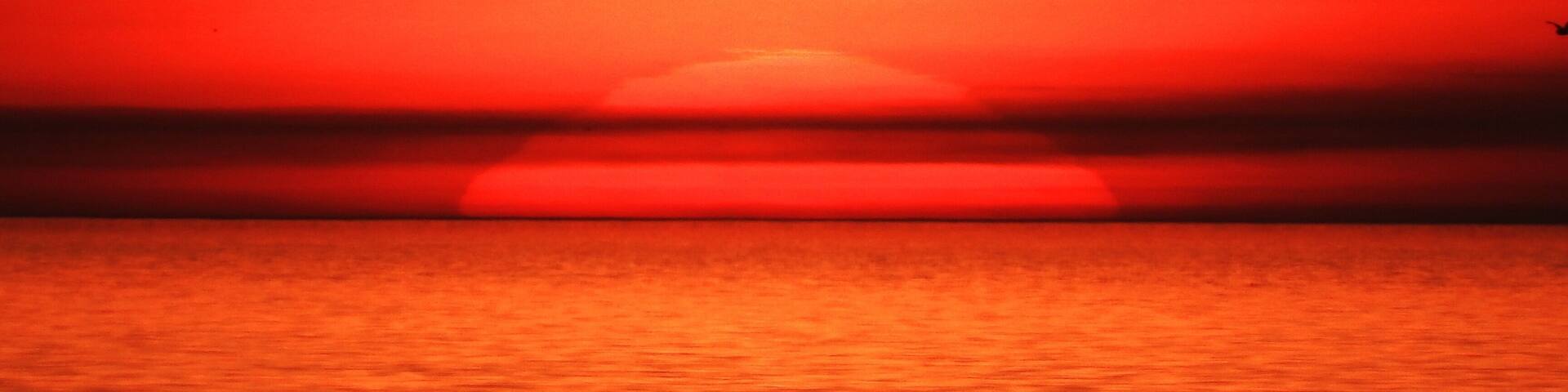 A sunset over a body of water with a silhouette of a bird flying.