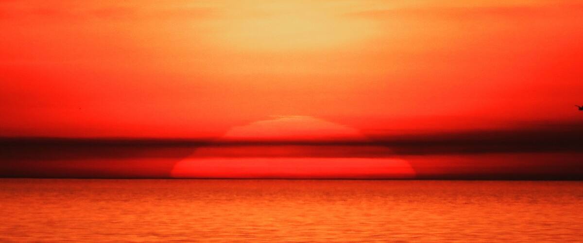 A sunset over a body of water with a silhouette of a bird flying.