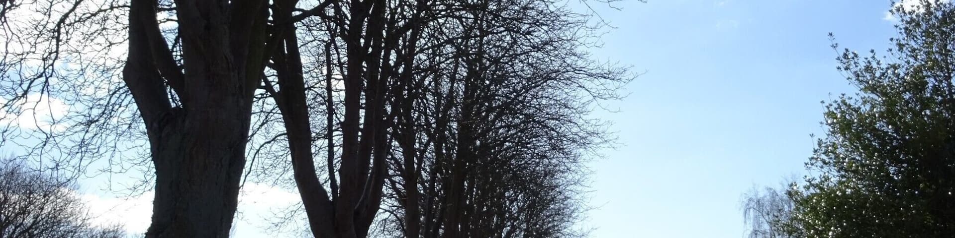 Out rollerskating, while taking pictures