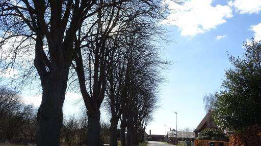 Out rollerskating, while taking pictures