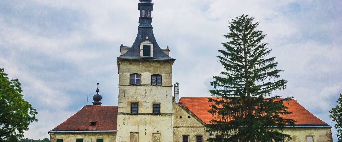 A historic building with a prominent tower and a large tree in front.