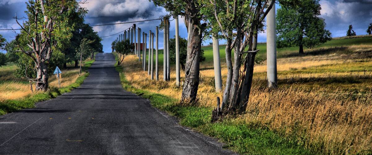 A rural road flanked by trees and utility poles.