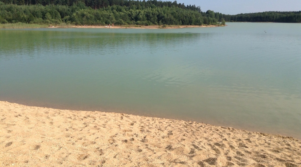 Lake between Suchdol nad Lužnici and Majdelena in South Bohemia.
An old sand mine that is now a popular destination for swimming. Clean water but with poor visibility.
It's awkward to get to by public transport, but worth the trip if you are around Třeboň or České Budějovice.
#swimming #hiddengem #southbohemia