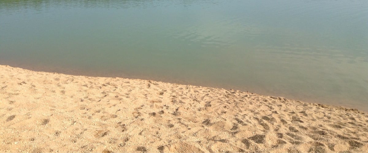 A sandy beach with calm water and a forested shoreline.