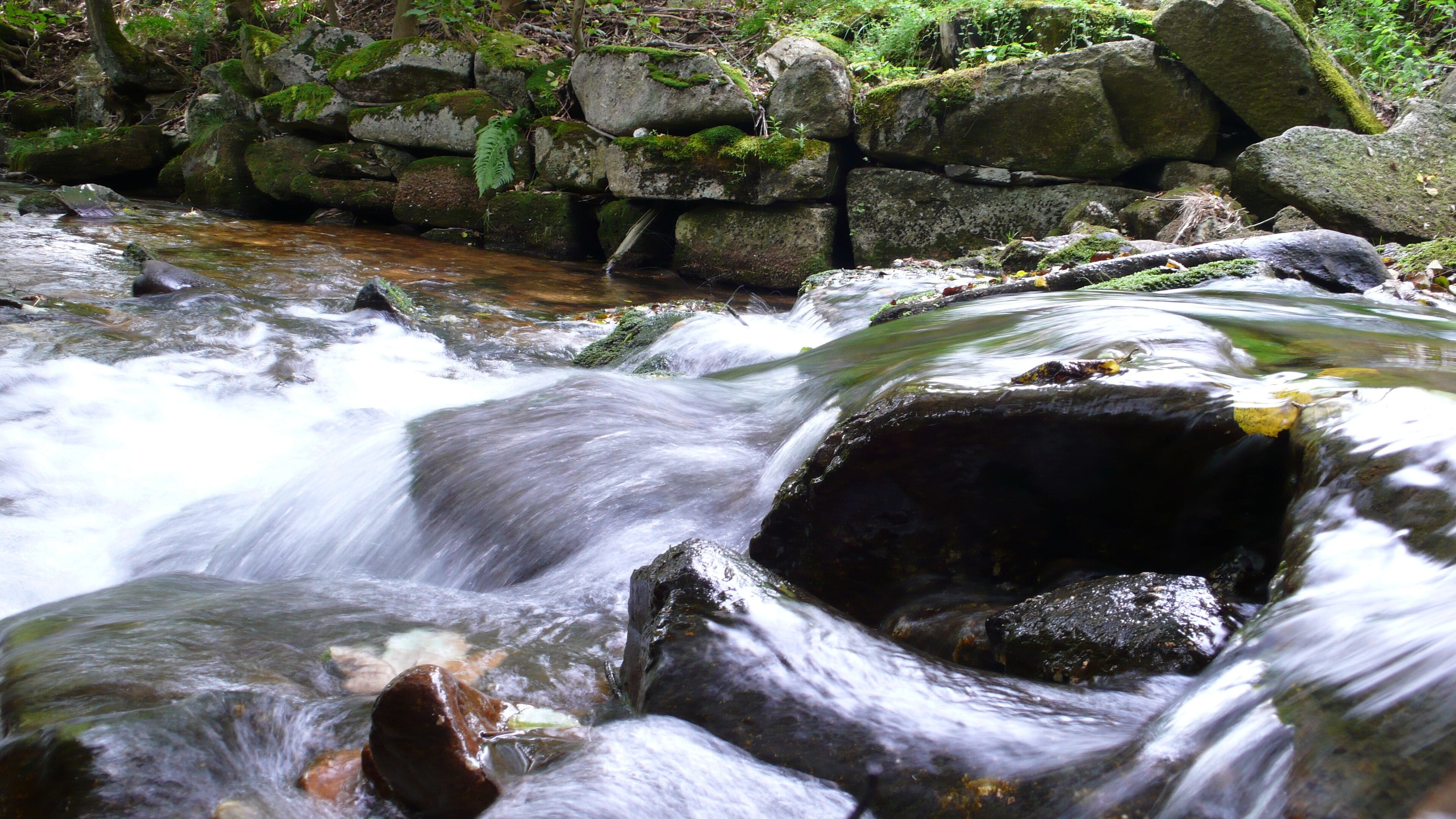A flowing river with rocks and moss.