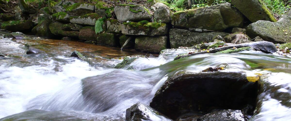A flowing river with rocks and moss.