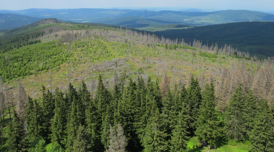 View from Poledník, national park Šumava, near Prášily in Klatovy District