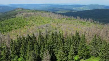 View from PolednĂk, national park Ć umava, near PrĂĄĆĄily in Klatovy District