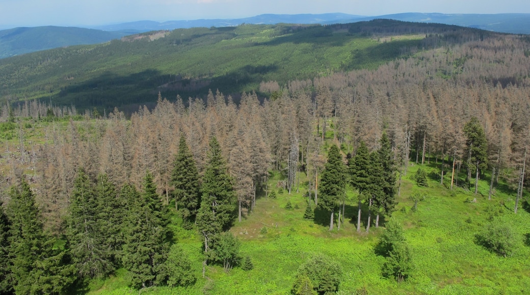 View from Poledník, national park Šumava, near Prášily in Klatovy District