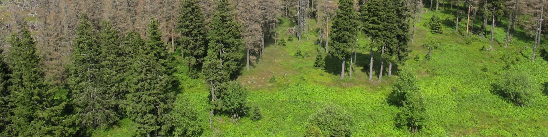 View from Poledník, national park Šumava, near Prášily in Klatovy District