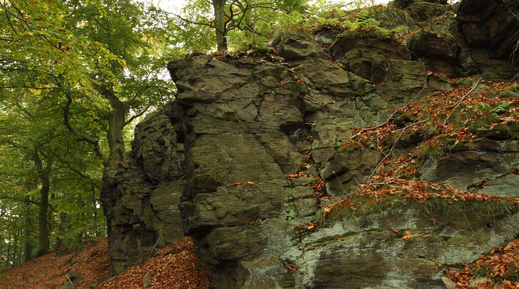 Nature reserve Vlčí důl near Osek village in Teplice District, Czech Republic