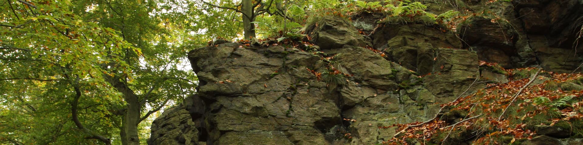 Nature reserve Vlčí důl near Osek village in Teplice District, Czech Republic