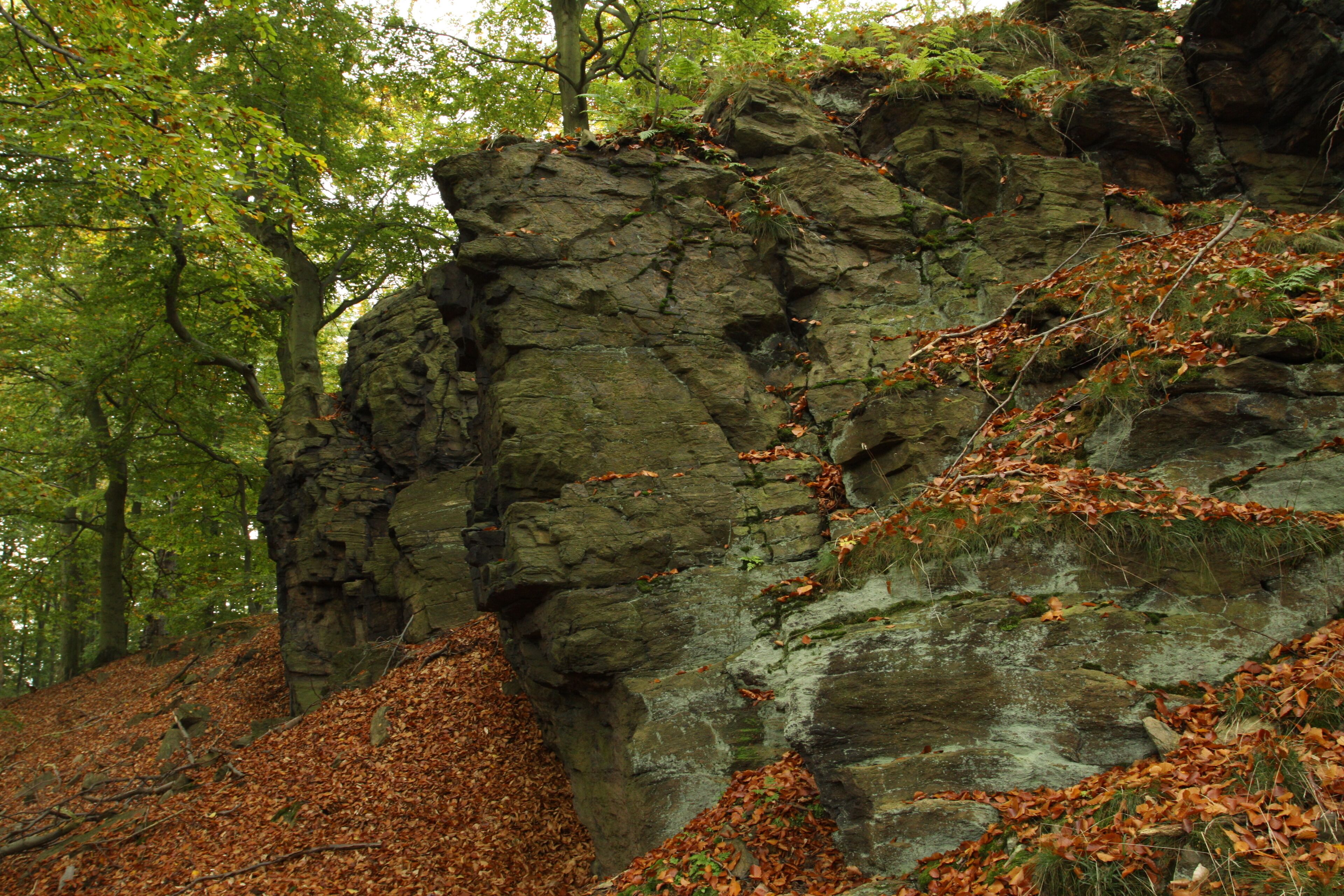 A rocky cliff with autumn leaves and green trees.