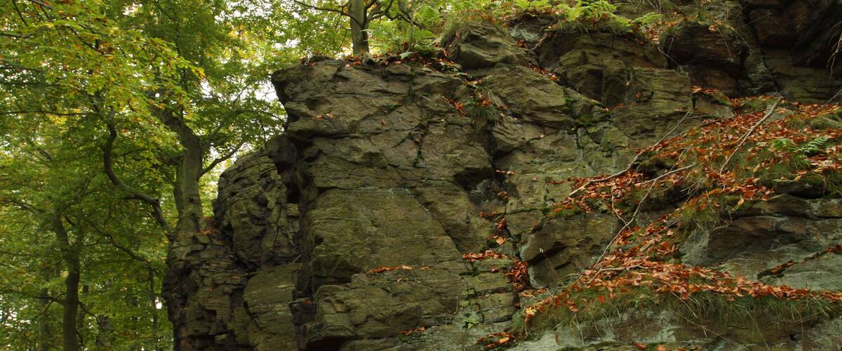 A rocky cliff with autumn leaves and green trees.