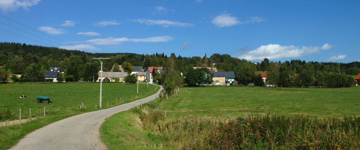 A rural road curving through a green field with houses and a forest in the background.