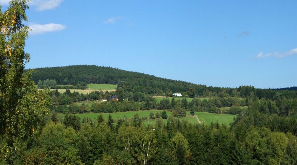 Šumava hills near Nicov