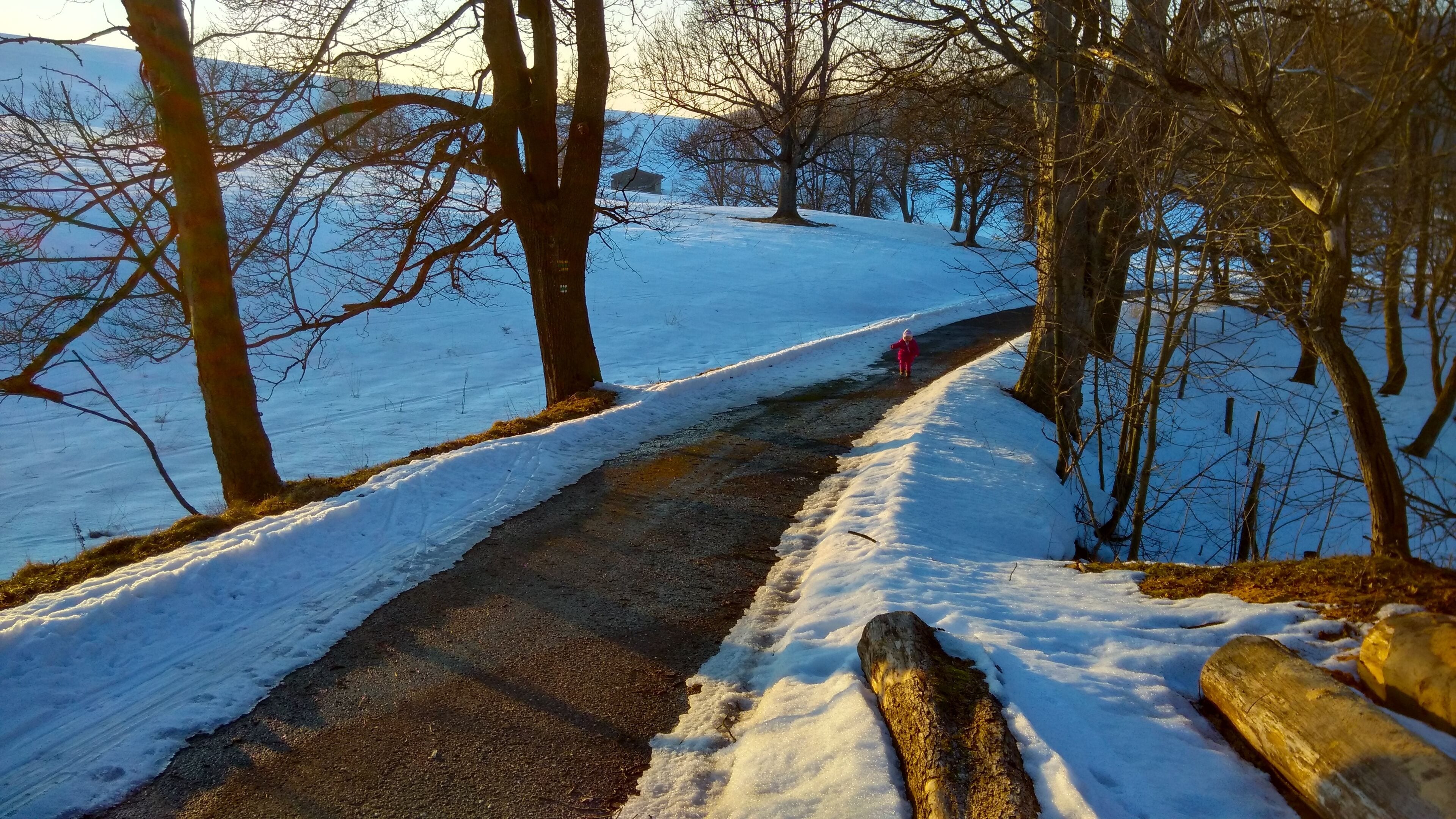 K hraničnímu přechodu Moldava