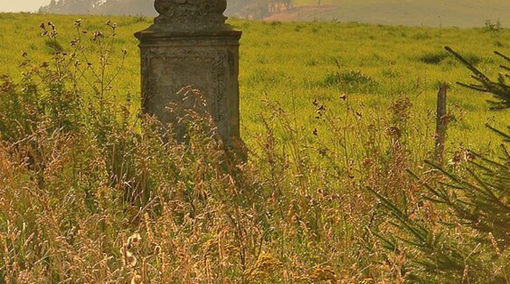 MoldavskĂ© plĂĄnÄ