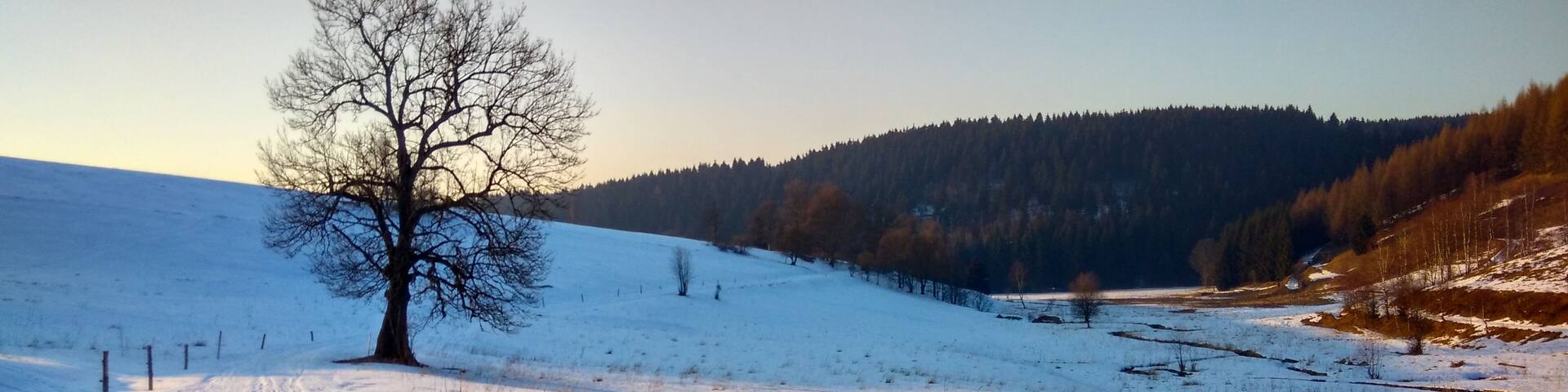 K hraničnímu přechodu Moldava