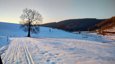 K hraniÄnĂmu pĆechodu Moldava