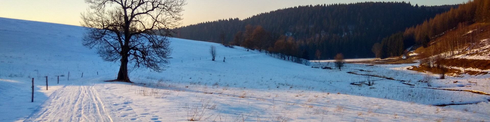 K hraničnímu přechodu Moldava