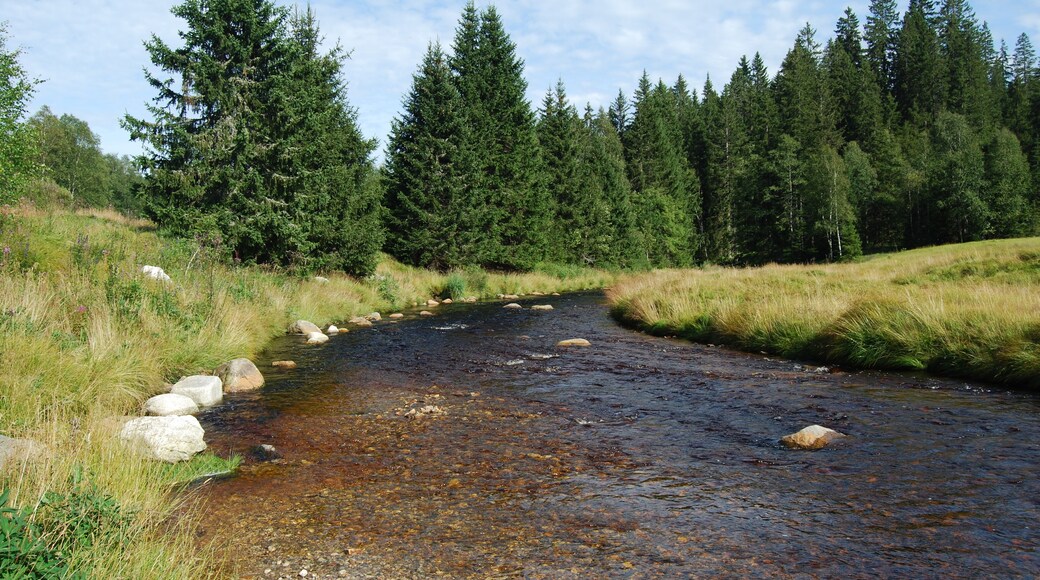 Roklanský potok u Modravy