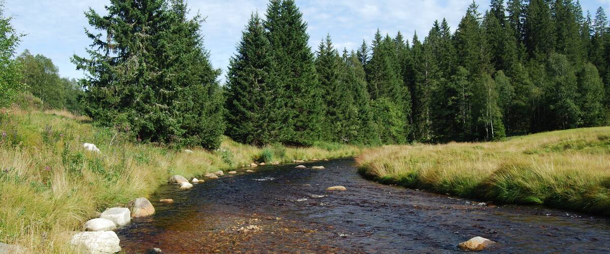 Roklanský potok u Modravy