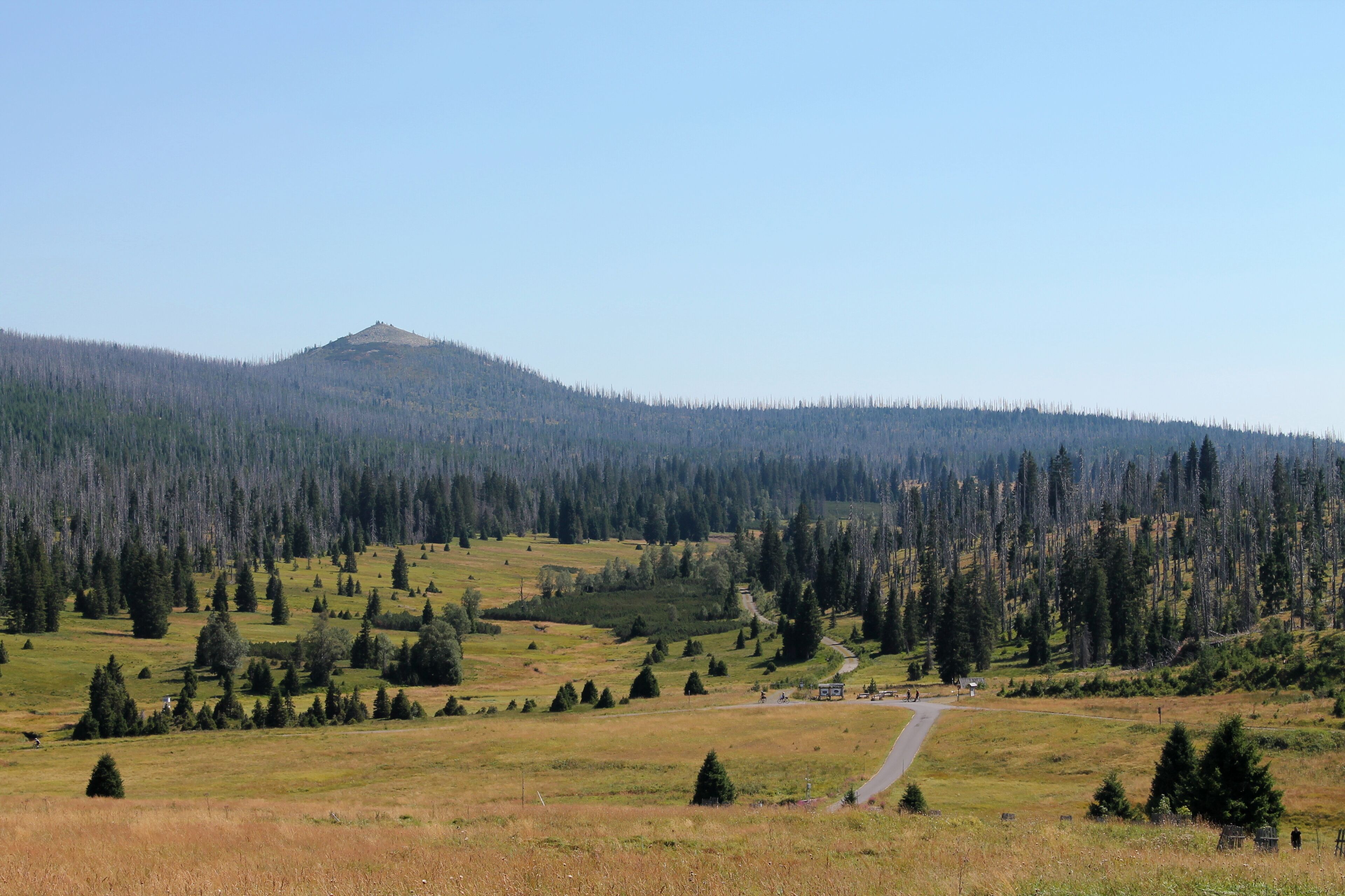 Lusen and Lusen Valley, Modrava, Klatovy District, Czech Republic
