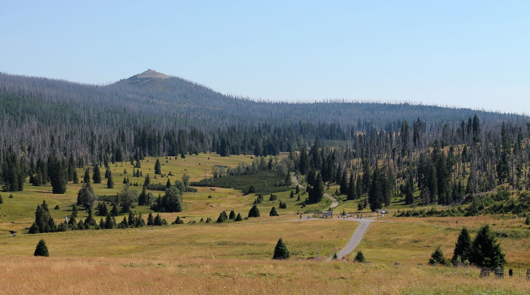Lusen and Lusen Valley, Modrava, Klatovy District, Czech Republic