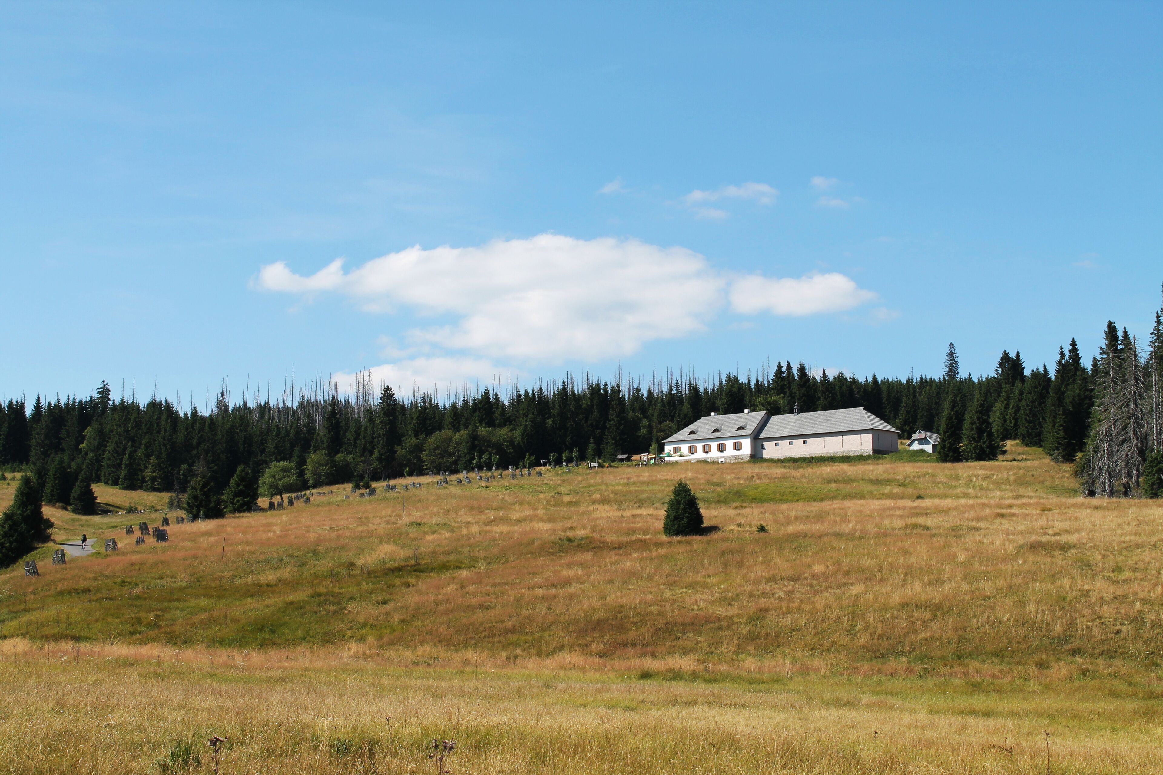 A rural landscape with a large white building on a hill, surrounded by a forest and open fields.
