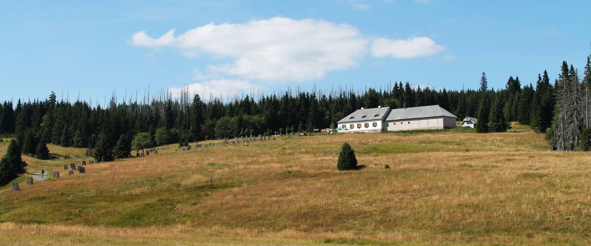 A rural landscape with a large white building on a hill, surrounded by a forest and open fields.