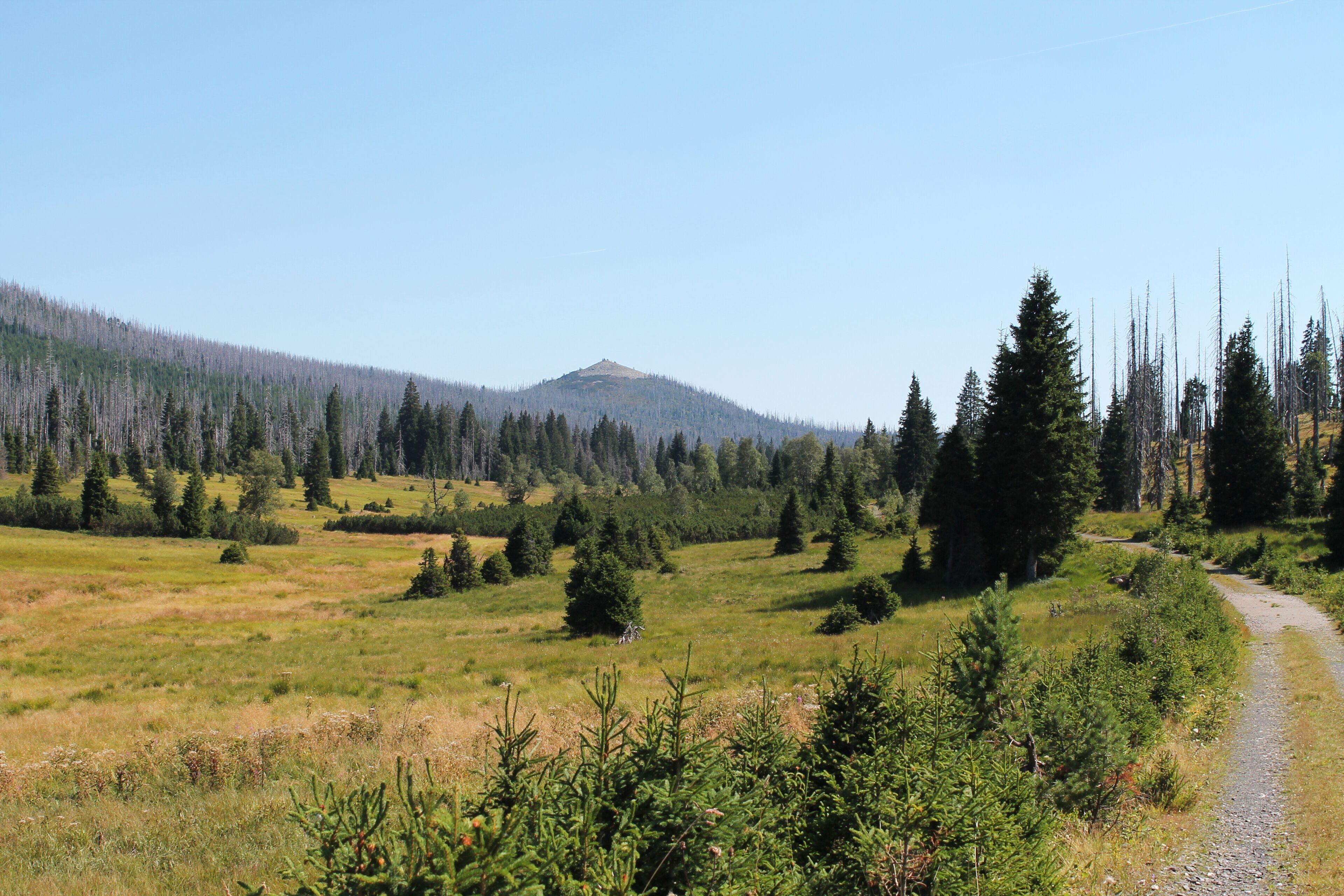 Lusen and Lusen Valley, Modrava, Klatovy District, Czech Republic