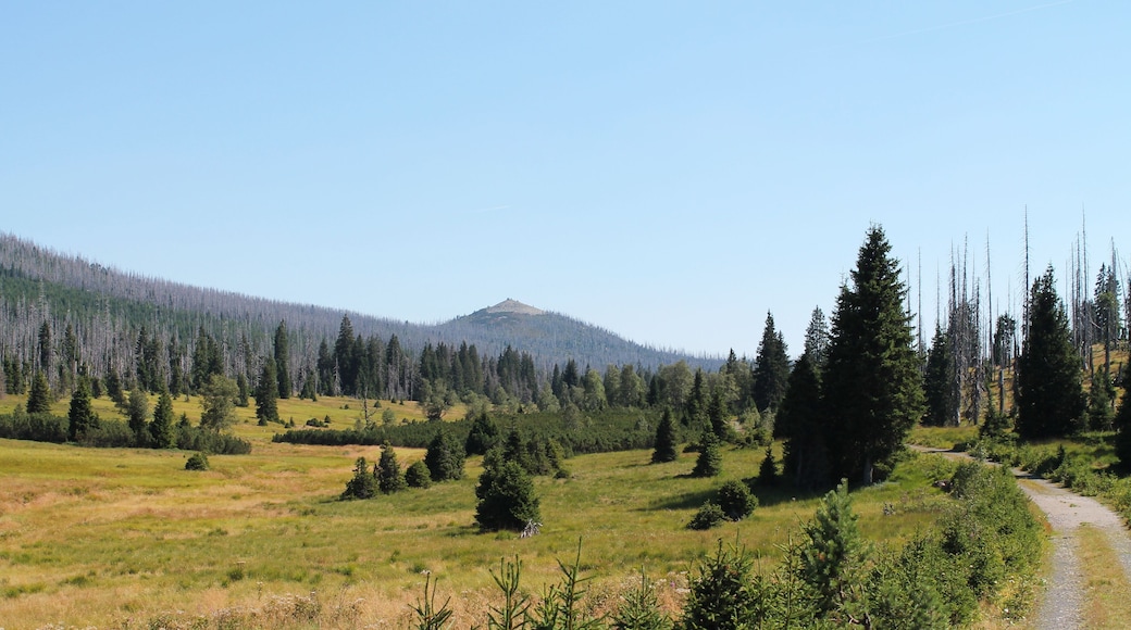 Lusen and Lusen Valley, Modrava, Klatovy District, Czech Republic