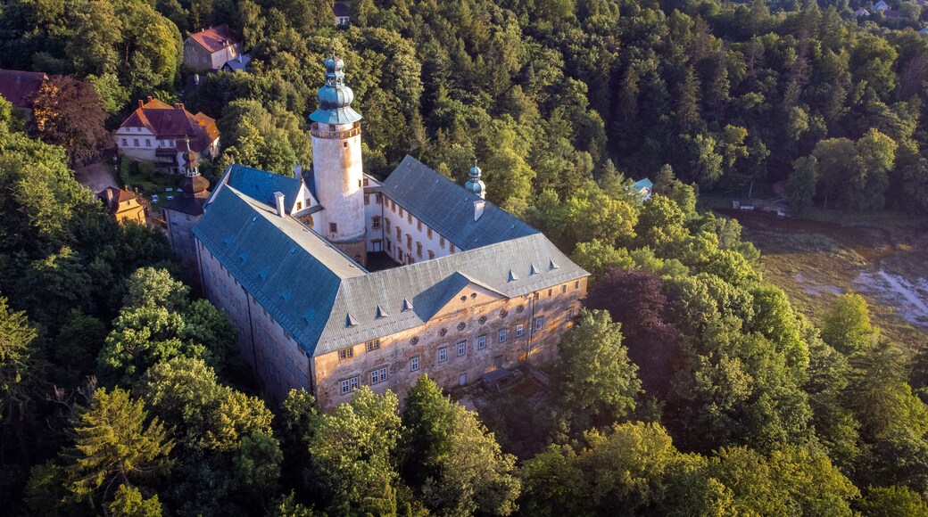 Un castillo rodeado de un bosque denso, con una torre destacada y un edificio grande con techo inclinado.
