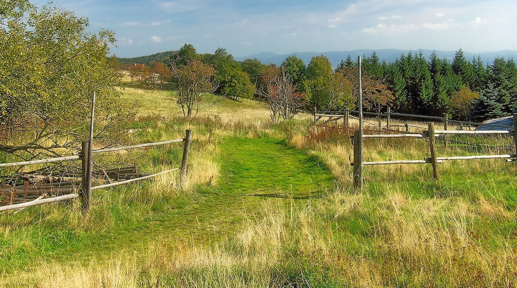 Louky Komáří Vížky
