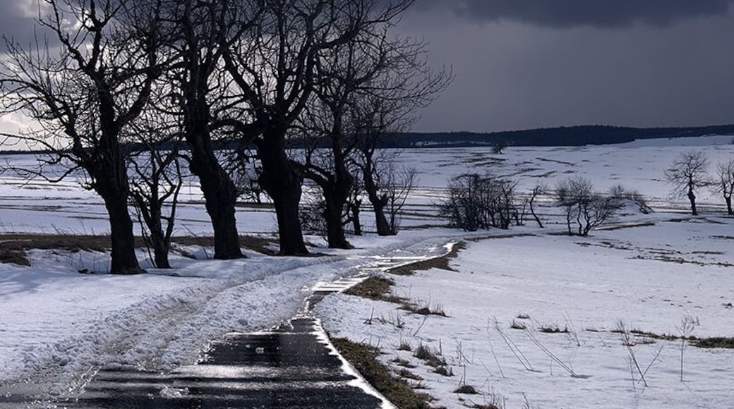 Od Adolfova k Fojtovicim
